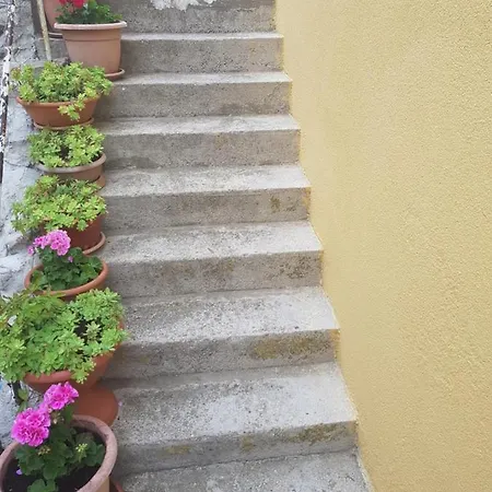 Apartman Tribunj Mate Jareb Apartament Tribalj